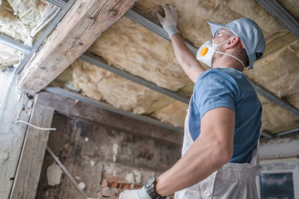 Insulation Replacement Services in West View, PA